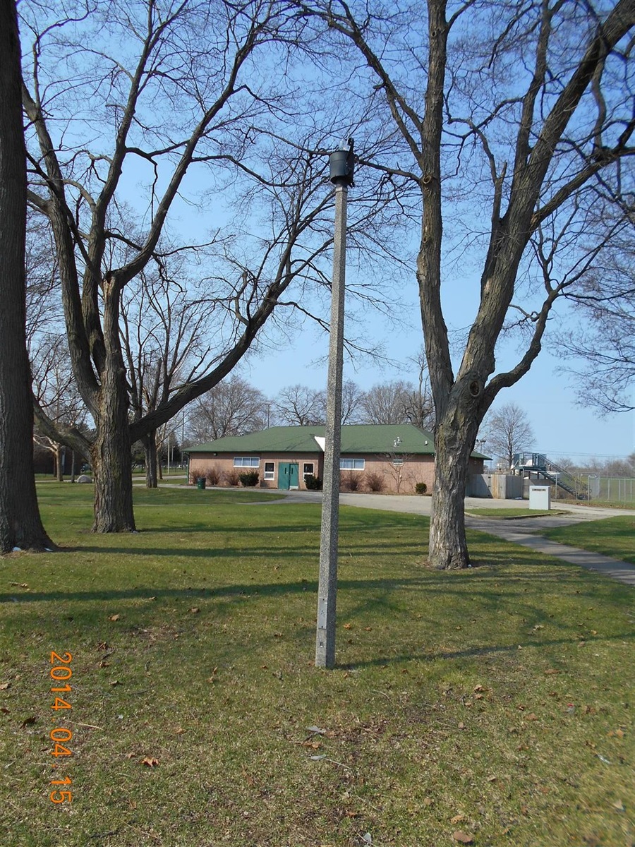 Campau Park Before Improvements