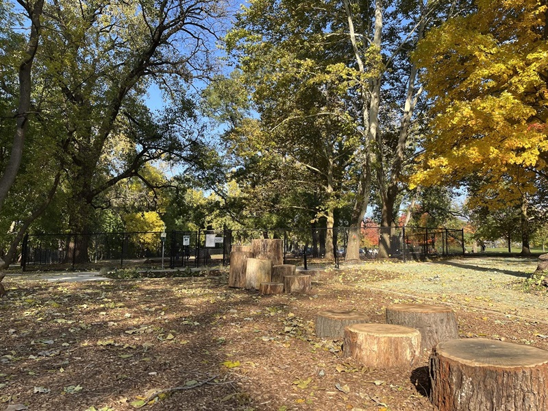 Nature play elements using recycled trees