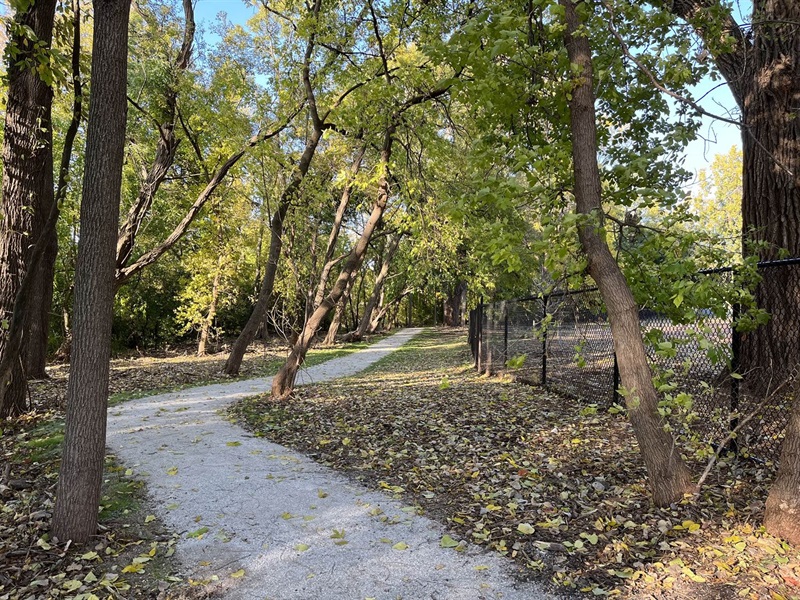 Natural surface walking path through a wooded area