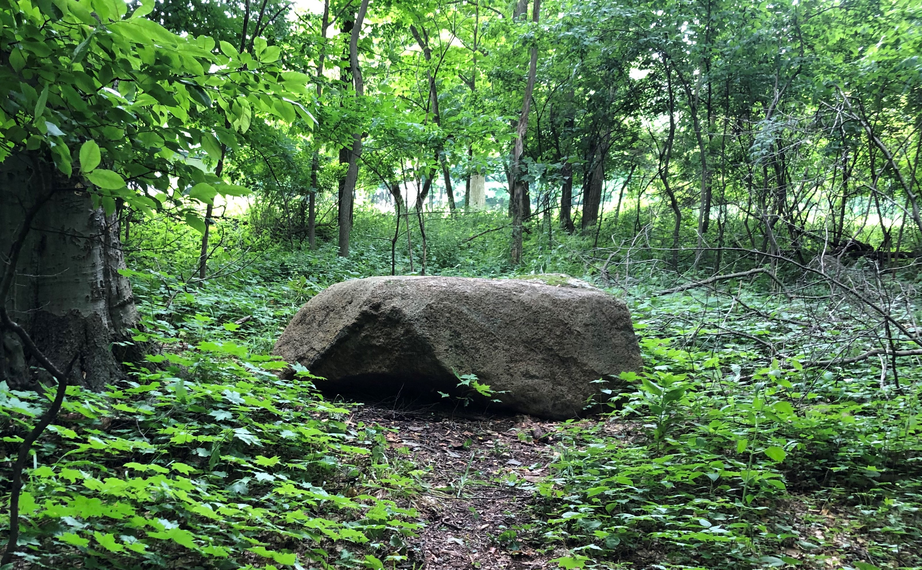 KOS-big-rock.jpg