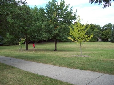 photo of Midtown Park