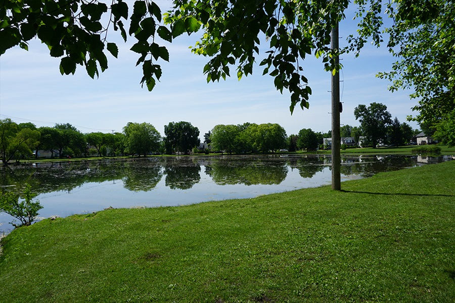 JPEG image of Richmond park pond
