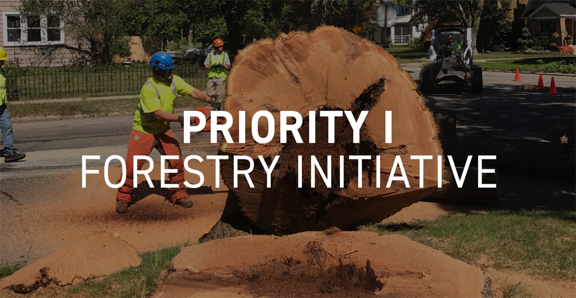Priority I Forestry Initiative