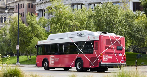 DASH bus