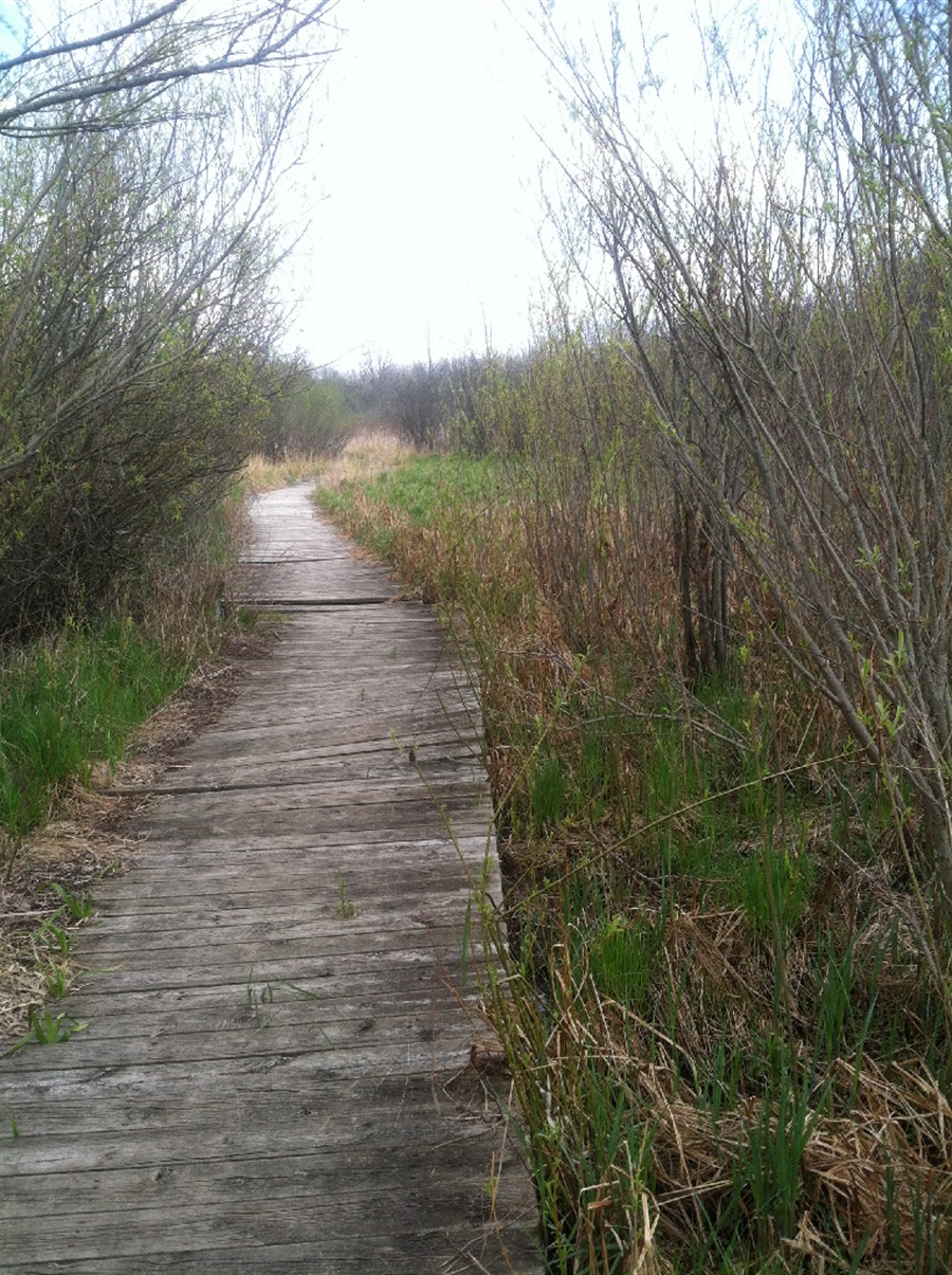 Huff Park boardwalk in disrepair