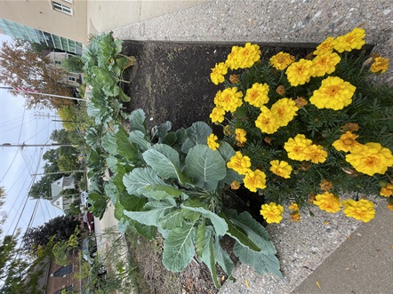 OKT A Sense of Place2.JPG