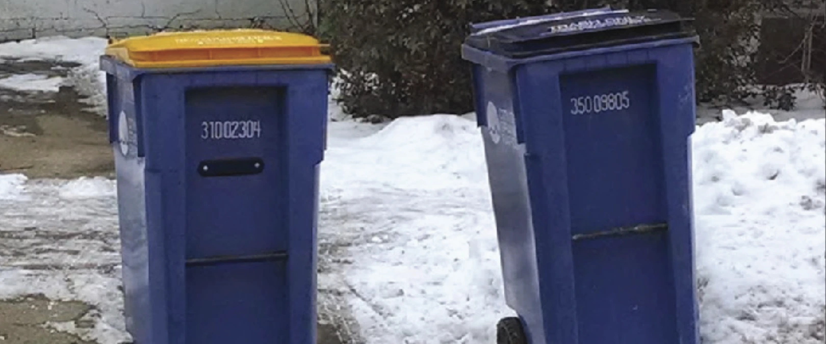 Image of Winter refuse containers