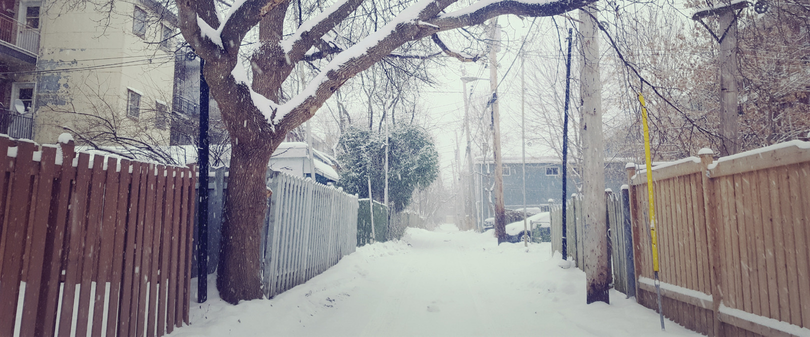 snowy alley