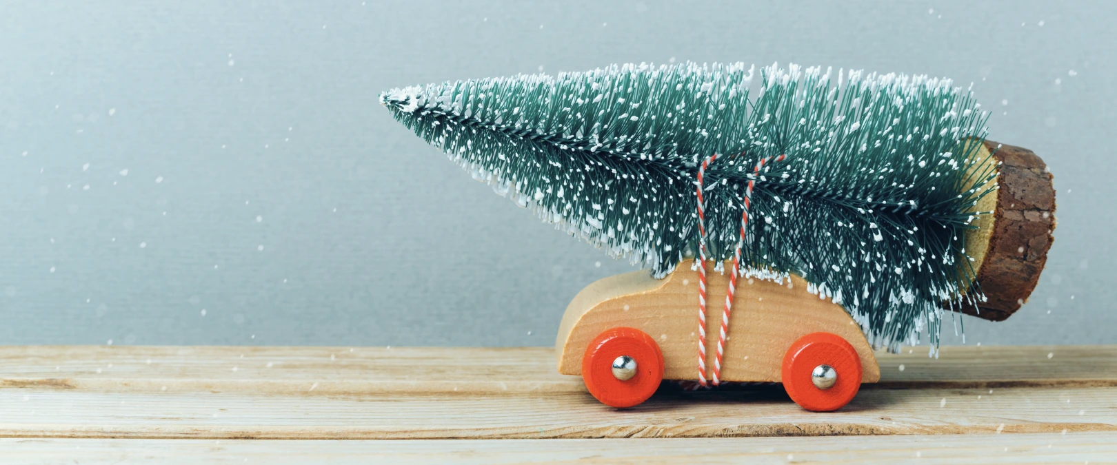 image of toy tree on a toy car