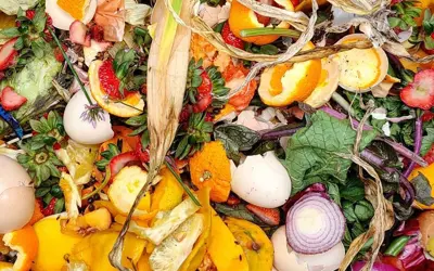 Close up of food scraps including egg shells, corn husks, onion skins, fruit peels, and leaves.